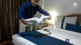 Towel Art How To Make Tiger 🐅With Towels @Junuvlog-24