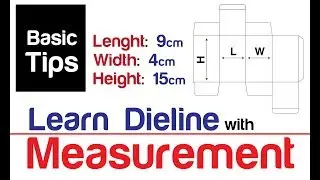 Learn Dieline with Measurement - Basic Tips