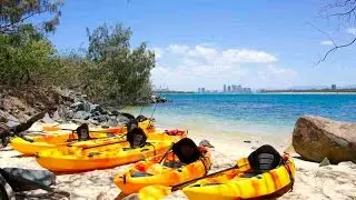 Kayaking on the Gold Coast by Seaway Kayaking Tours