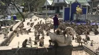 Monkey Mountain Hua Hin