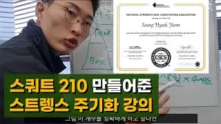 [주기화] 스쿼트 210 만들어준 주기화 방법 강의(CSCS)