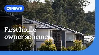 Expanded first-home buyer scheme does little for single people | ABC NEWS