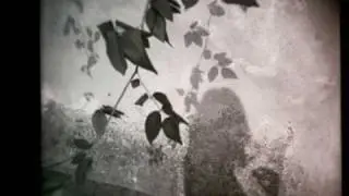 The Soldier Song - Sarah Bettens
