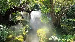 The sound of stream in the tropical garden Feel relaxed