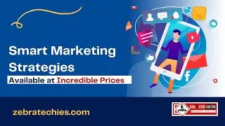 Zebra Techies | Are You Missing Smart Marketing Strategies Available at Incredible Prices?