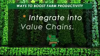 5 Proven Ways to Boost Farm Productivity