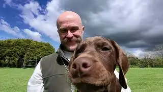 Join the Oakley Pointer Pack for a Journey with Our Rare Pointer Mixes!