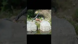 balancing asana #flexibility #balance #handbalanceasana #oversplit #vrischikasana #ytshort