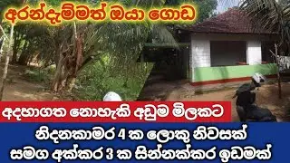 පොල් ඇතුලු බෝග සපිරි අක්කර තුනක ඉඩම  නිවස සමග ගජ ලාබෙට | House for sale in Daladagama Sri Lanka