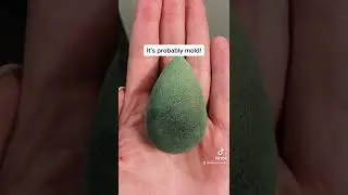 Moldy Makeup Sponge?!?!