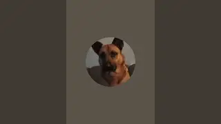 Elfi H. &uuml;bertr&auml;gt einen Livestream.