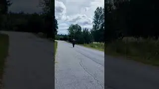 Wheelie XSR-900