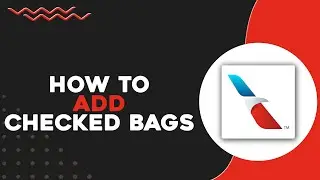 How To Add Checked Bags American Airlines (Quick & Easy)