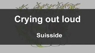 'Crying out loud'  Suisside (Lyrics video)