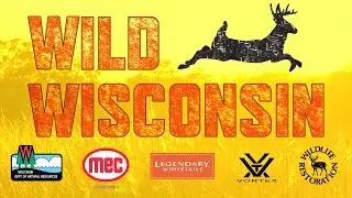 Know the rules before you hunt - Deer Hunting Rules and Regulations - Wild Wisconsin Ep. 2