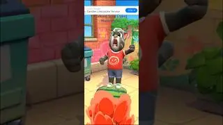 Talking Tom Trying Watermelon #talkingtom