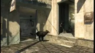 long chop pays back dog part 6 avi
