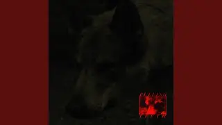 Pulling Teeth