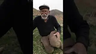 zerkanli nesat yurtsever Ali amcayla