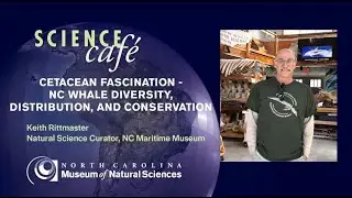 Science Caf&eacute;: Cetacean Fascination &ndash; NC Whale diversity, distribution, and conservation