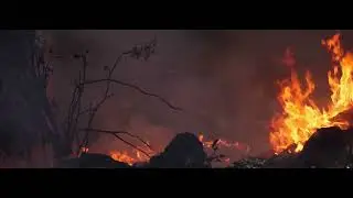 Short Film - Risk