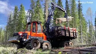 10 Extremely Dangerous Logging Machines & Skills in Action | Bulldozers, Harvesters, Trucks & More