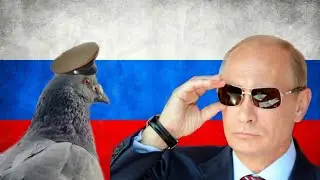 Paloma Saludando a Putin 😎