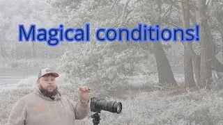 Woodland photography in a winter WONDERLAND!