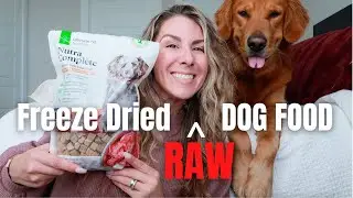HONEST Ultimate Pet Nutrition Nutra Complete Review