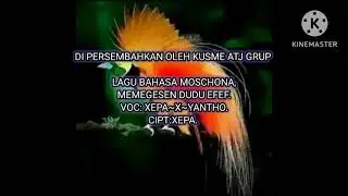 lagu daerah bahasa Moskona Memegesen
