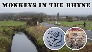 The Tickenham Monkey Bridge rhyne disaster(s)