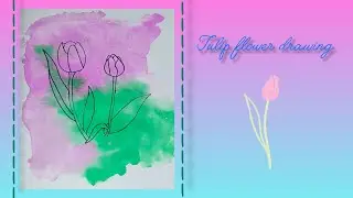 Easy tulip flower drawing🌷