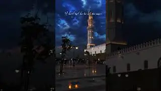 Best Islamic Status for Your Bayan #shorts #bayan #youtubeshort