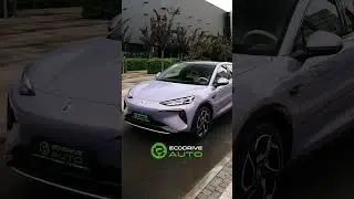 DENZA N7 в широкому різноманітті кольорів в ECODRIVE AUTO