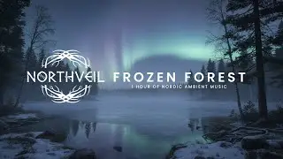 1 Hour of Nordic Ambient Folk Music &bull; Frozen Forest | Study & Relax | NORTHVEIL