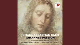 Johannes-Passion, BWV 245: Teil 2: No. 19, Betrachte meine Seel (Arioso)