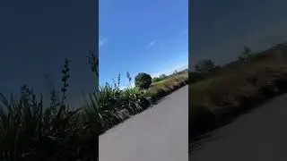 Onehunga Harbour