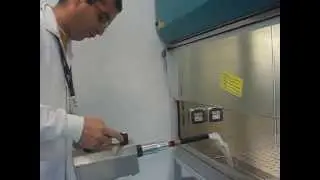 Elscolab presents the laminar airflow in FASTER LAF cabinets
