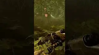 посміхніться для фото | Момент зі стріму: calmspiritperson