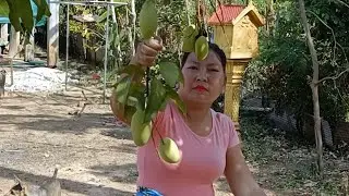 Mango with Prahok and banana and more fresh vegetables!!