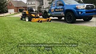 Yard Maintenance Services - Busy Bee Lawn Care & Sprinkler Repair