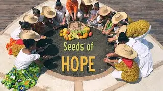SEEDS OF HOPE