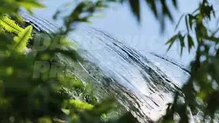 Waterfall cascading through lush vegetation in Vietnam
