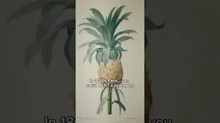 You could rent pineapples? 🍍 #historyshorts #hiddenhistory