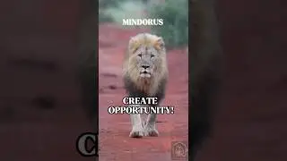 Awaken The Alpha And Create Opportunity #motivation #mindorus #mindset #alpha #success #inspiration