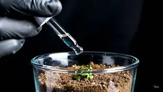 cinematic video of magic liquid that can grow strawbery plants ASMR #ASMR #cinematic #cinematicvideo