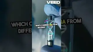 Genetic Secrets  Techniques & Applications!