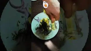 Macrou marinat