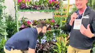 5 Perfect Beginner Houseplants from the Tropical Plant Expo