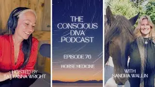 Horse Medicine with Sandra Wallin